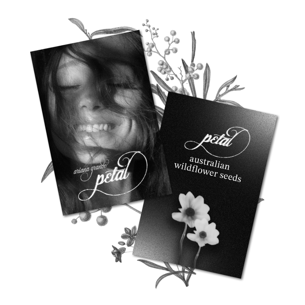 Petal Australian Wildflower Seeds