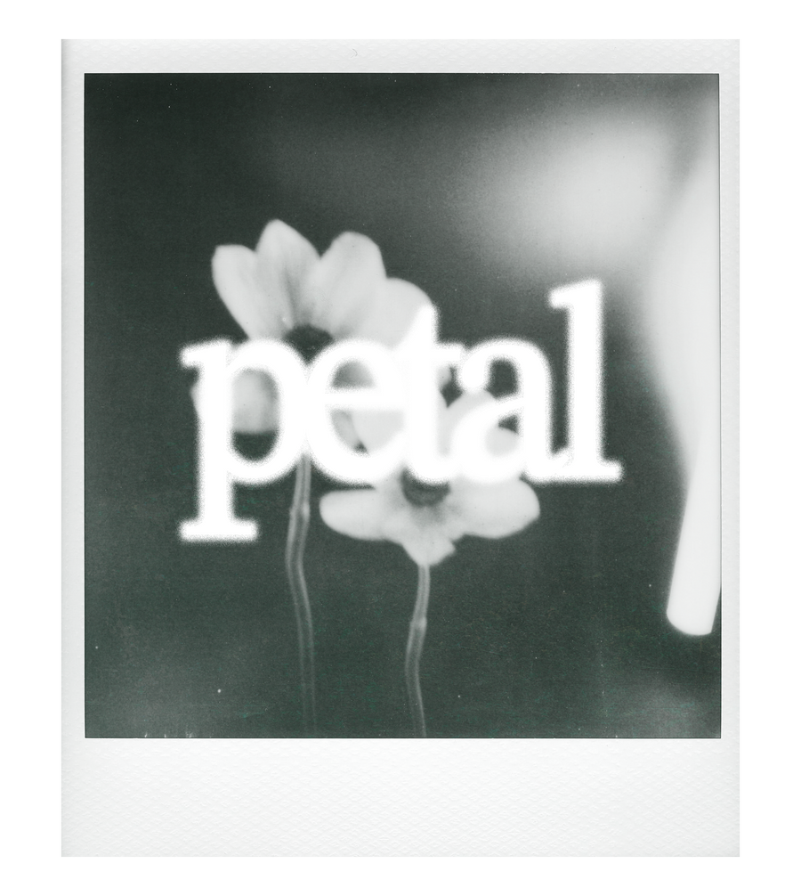 Petal